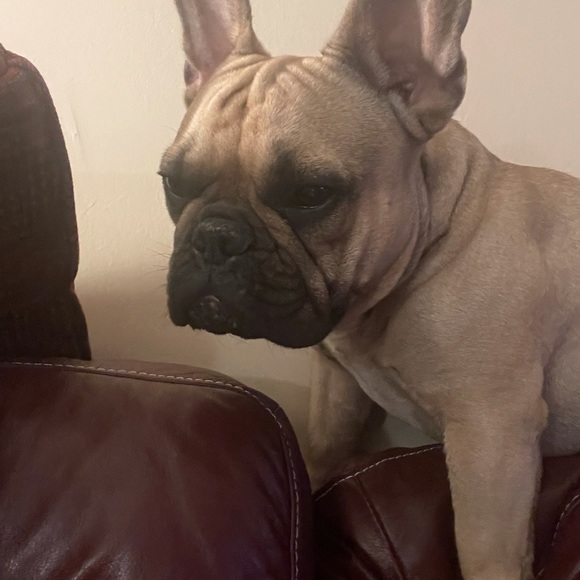 Meet your Posher, Jessica - Picture 10 of 14